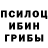 Псилоцибиновые грибы MAGIC MUSHROOMS Lane Poovey