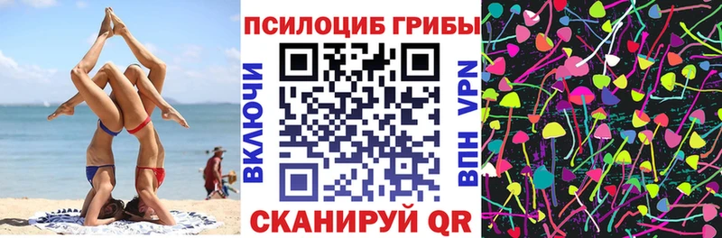 Галлюциногенные грибы Psilocybe  Усолье-Сибирское 