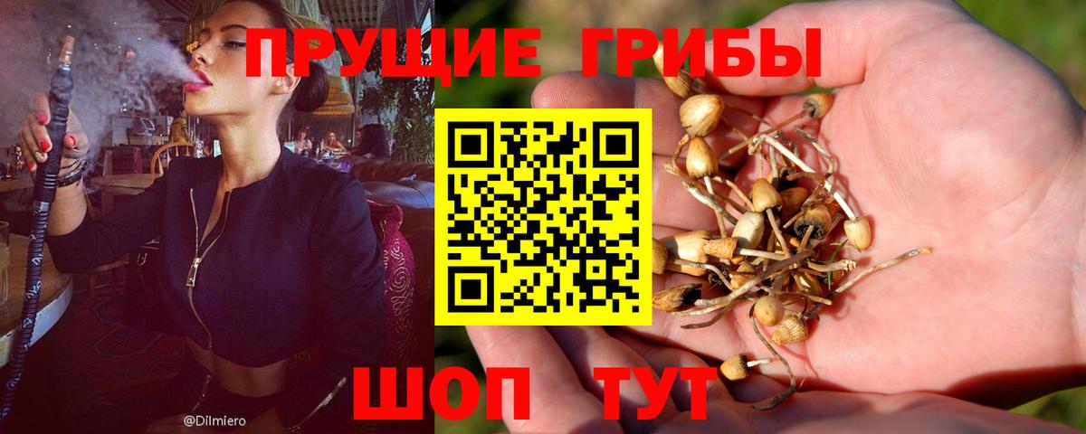 продажа наркотиков  Псилоцибиновые грибы Magic Shrooms  Псилоцибиновые грибы мицелий  Вход с VPN  Усолье-Сибирское 